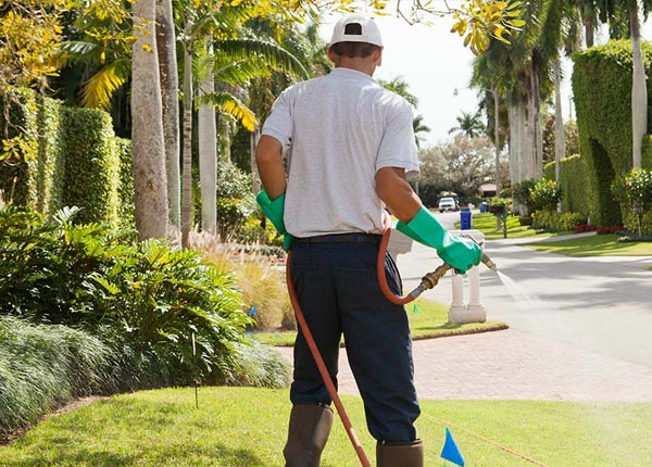 About Sharpsburg GA Pest Control Pros
